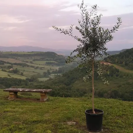 Tatil Evi Perfect Stunning Views Everywhere From House Pool Terrace Garden Castiglione In Teverina
